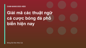 Read more about the article Giải mã các thuật ngữ cá cược bóng đá phổ biến hiện nay